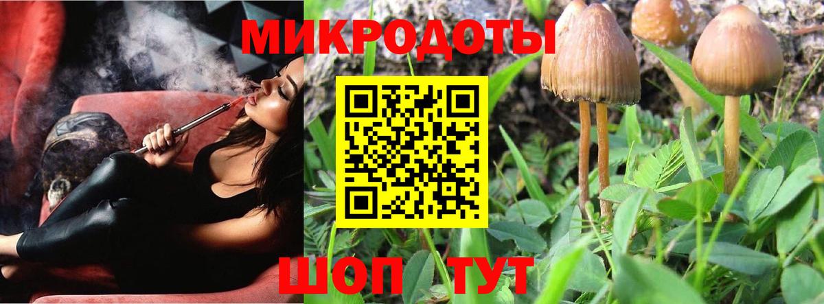 Заволжье  закладка  Вход с VPN  Псилоцибиновые грибы прущие грибы 